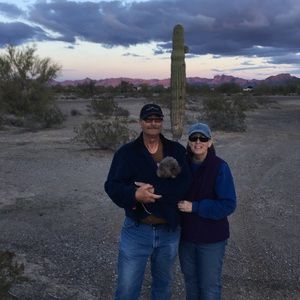 Meet your Posher, Connie